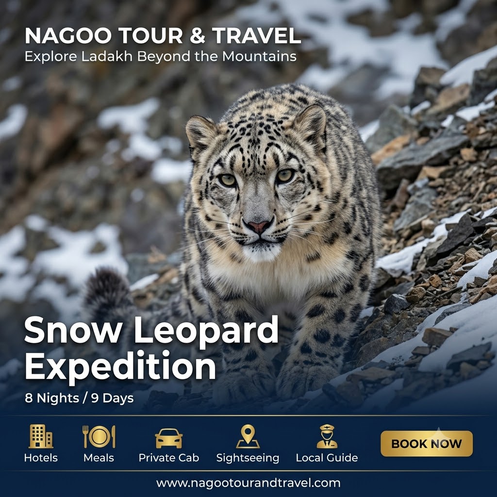 Snow Leopard Expedition