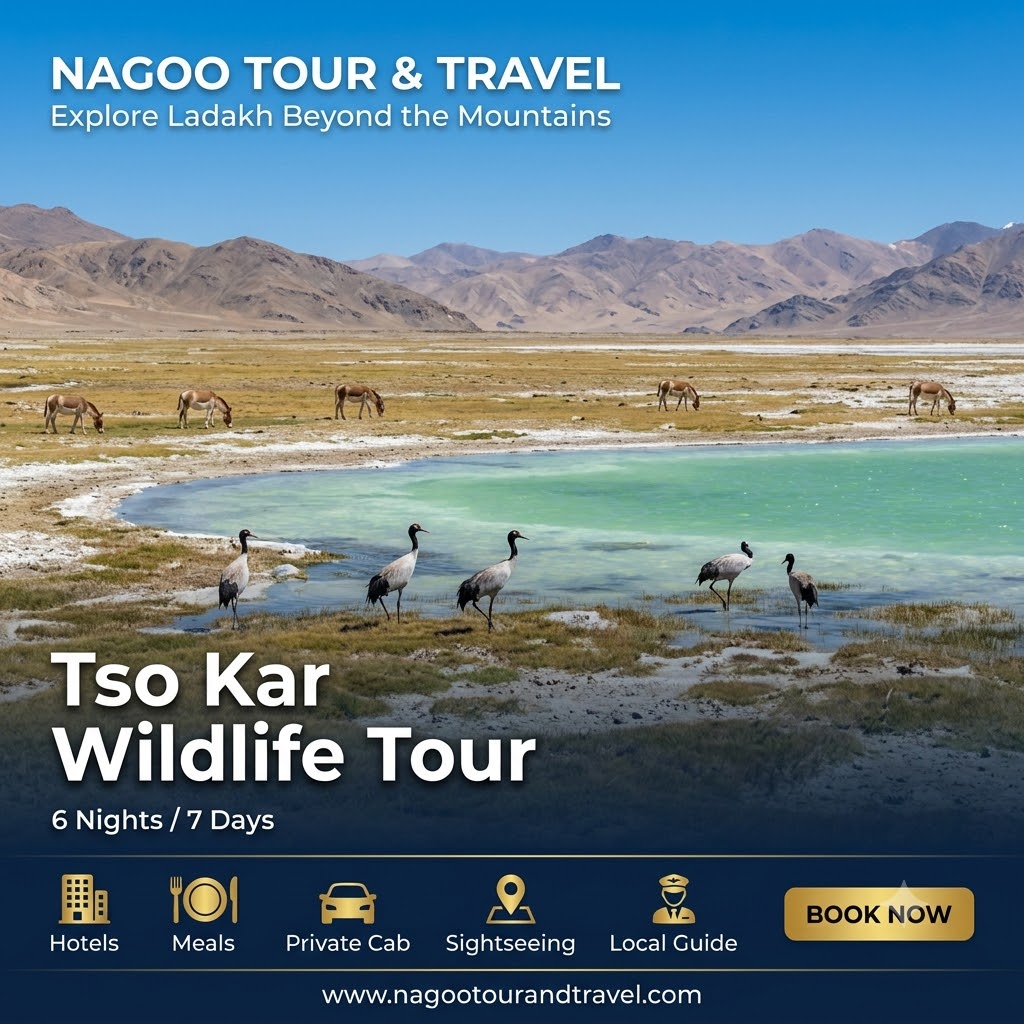 Tso Kar Wildlife Tour
