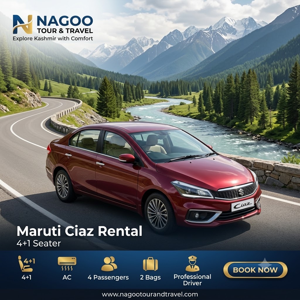 Self Drive Car Rental